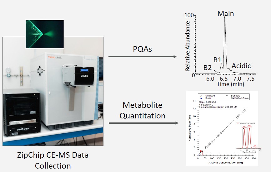 ASMS 2025: CE-MS for Direct Product Quality and Media Metablomics (Repligen)